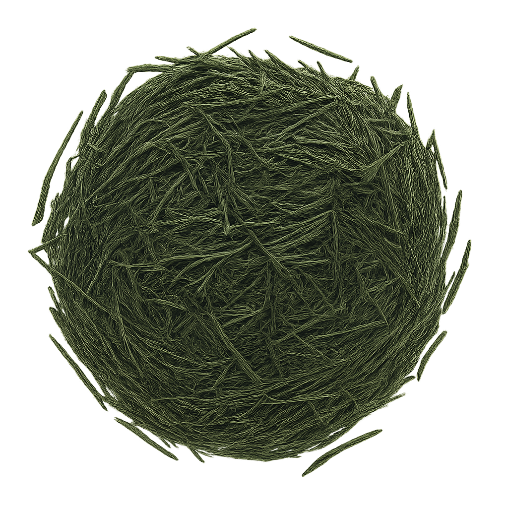 zielona herbata sencha herboniada napoj funkcyjny od browaru Palatum