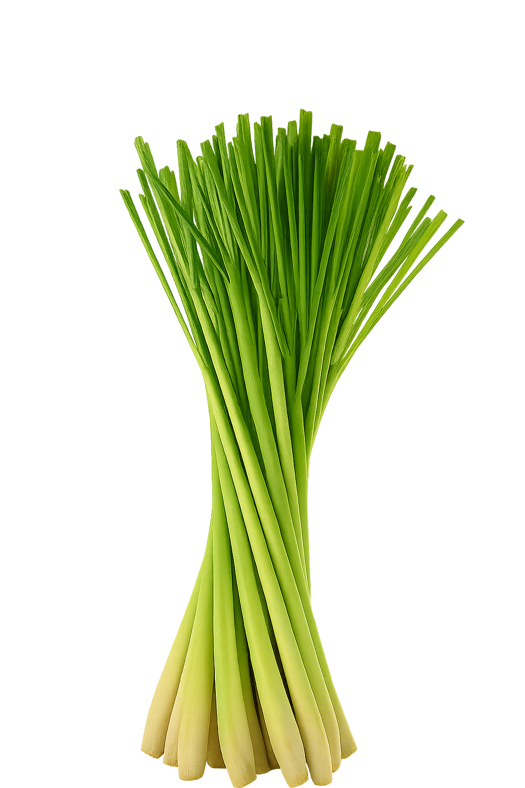 trawa cytrynowa herboniada napoj funkcyjny od browaru Palatum