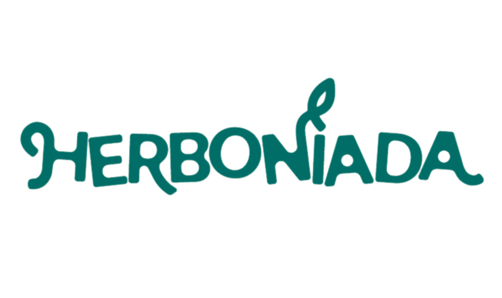 projekt bez nazwy 17